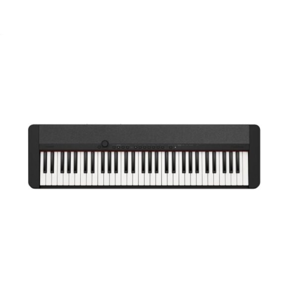 Casio Portable Keyboard - Black