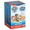 Paw Patrol Mini Figures Asst. CDU