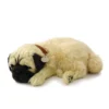 Perfect Petz Pug, Multi Color