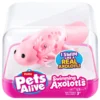 S001-PETS ALIVE-WATER ACTIVATED-SERIES 1-SWIMMING AXOLOTL-CUBE