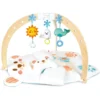 Snuggle Bear Activity Gym